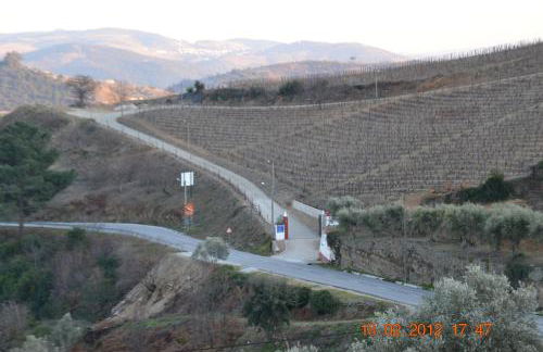 Quinta dos Espinheiros - Foto 41