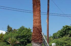 Rooms A Sinos - Foto 29