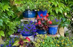 Azur Blue Villa; Rural Peace with private pool - Foto 22