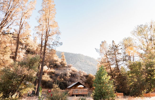 Huttopia Paradise Springs - Foto 64