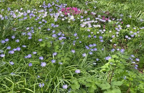 Penarvon House - Stunning Waterfront Escape with Games Room - Foto 3