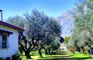 Nafpaktos cottage by the sea for travelers and dreamers! - Foto 63