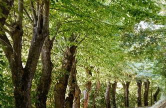 Castello di Baccaresca - Foto 51