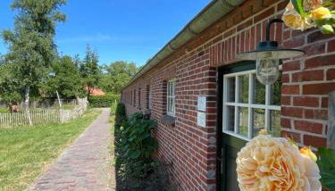 Deichgraf Emden - Foto 4, Garden