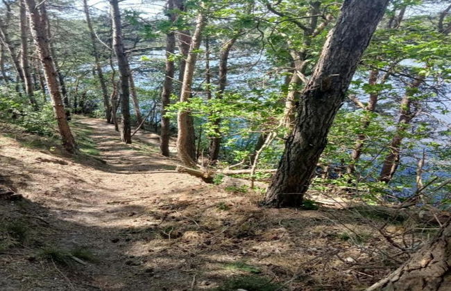 Holiday Home in Geesteren With Roof Terrace,garden Furniture - Photo 73