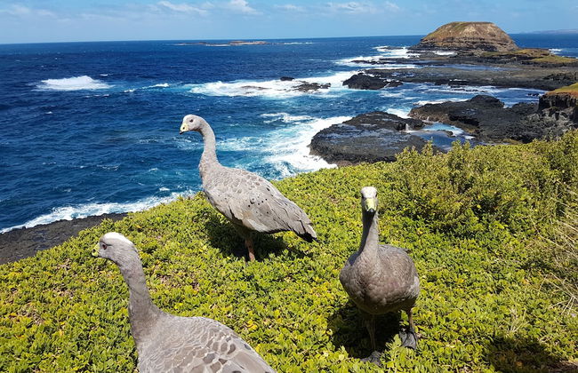 Apartment with views - Foto 22