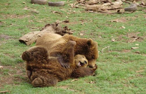 Holiday Home Modric - Foto 71