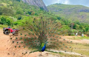 Flat HOTEL Pedra do Rodeadouro 1 andar - Foto 33