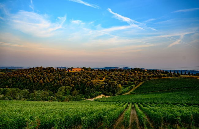 Castellare di Tonda Resort & Spa - Photo 71