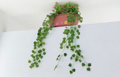 Case vacanza Erica Igea Marina - Foto 22