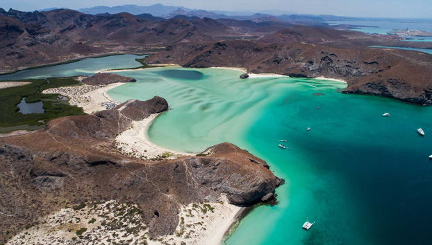 Balandra Beach Day Trip & Swimming with Sea Lions - Foto 2