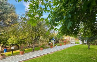 Viki Studios - Foto 50