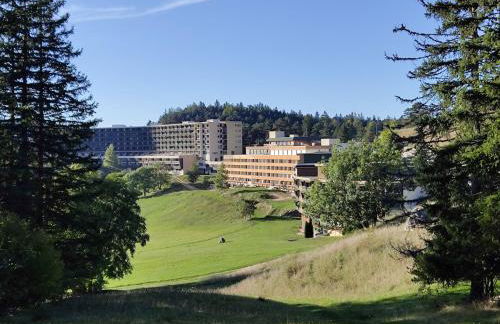 Nono's Mountain Cabin Studio in Vercors - Foto 10