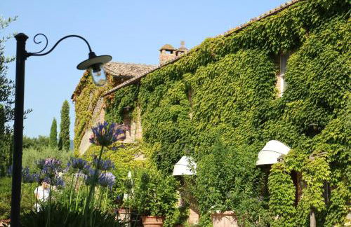 Agriturismo La Sovana - Photo 14