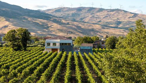 Camporè Etna Wines and Resort - Foto 3, Garden view