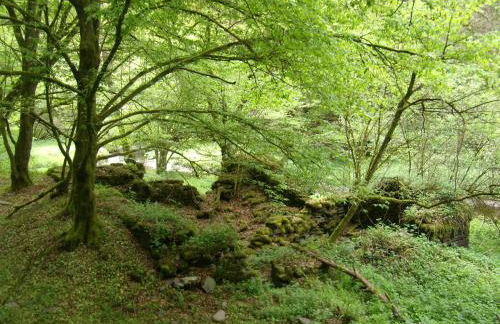Ferienhof Mies - Foto 4