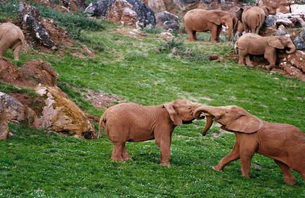 MariaS Vacation Rental - Foto 20