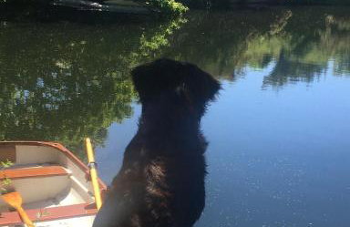 Tresahor Studio with sauna - Foto 16