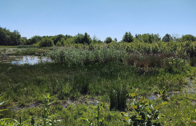 4 Star Holiday Home in Praesto - Foto 20