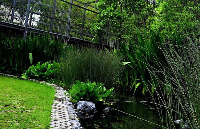 Pinebox Mirage by the Lake - Foto 29