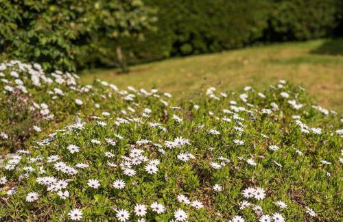 Barrocal Nature Houses - Foto 34