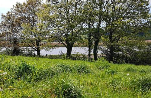 Driftwood Cottage - Foto 53