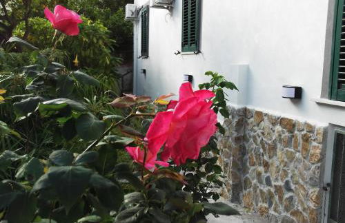 Le Mimose - Photo 69