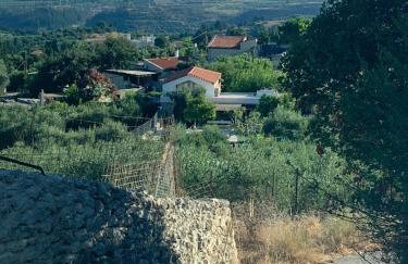 Old stone villa in Apokoronas Villa Nostalgia Kreta - Foto 10