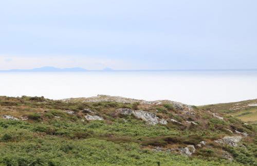 Bryn Meilw - Foto 40