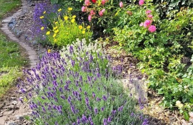 Ostfriesland to Huus - Photo 28