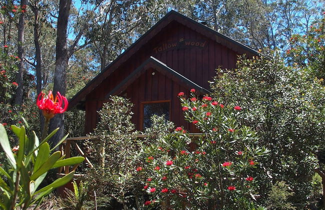 Cradle Highlander - Foto 69