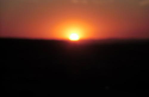 Haus Halligblick - Foto 67