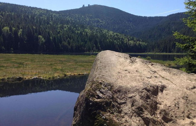 Ferienwohnung im Bayerischen Wald mit Terrasse - Photo 39