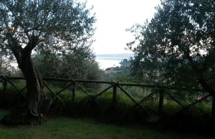 La Cerasa - il Lago fuori - Foto 69