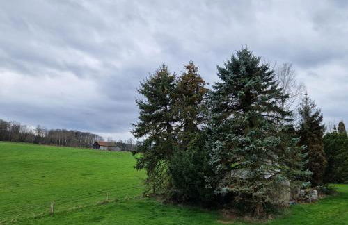 Ferienwohnung Arnsberger Wald - Foto 8