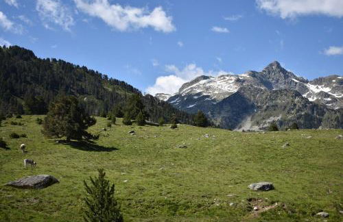 Apartamentos Deth Camin Reiau - Photo 51