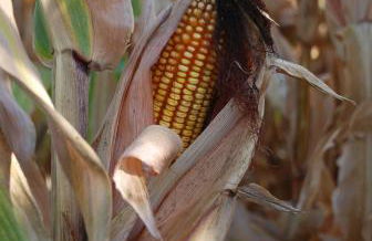 Casa Rural Abuela Maxi - Foto 89