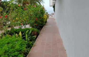 Margaritas - Foto 15