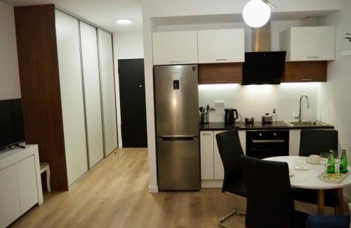 Studio nr 2 close to Medicover and Paley Institute - Foto 6