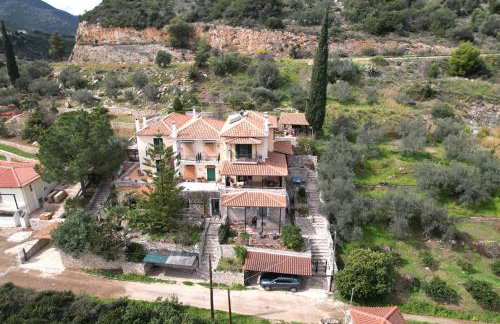 The Olive Tree - Photo 25