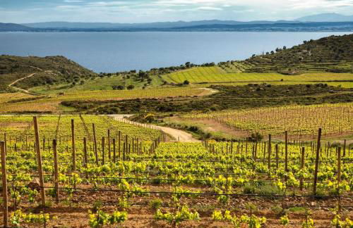 Casa de diseño con gran terraza - Foto 20