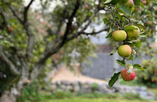 Ferienhaus EifelOne - Panorama - Foto 36
