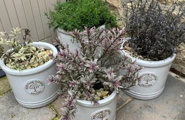 Jasmine Cottage - Foto 23