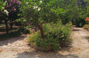 Alegria house with gardens near portoheli - Foto 80