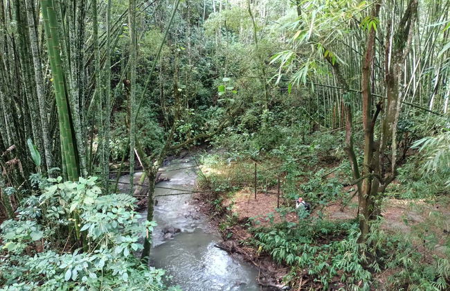 Parque de la Vida Free Tour - Photo 5