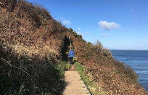 Benllech Sea View bungalow, Dog Friendly sleeps 6 - Foto 29