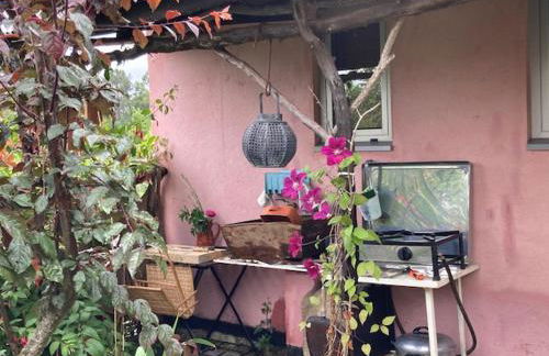 Cabana do Dinamarquês em Arga de Baixo - Foto 15