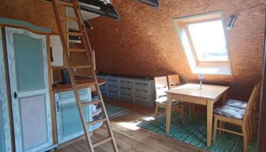 Hof-Silberweide - Foto 3