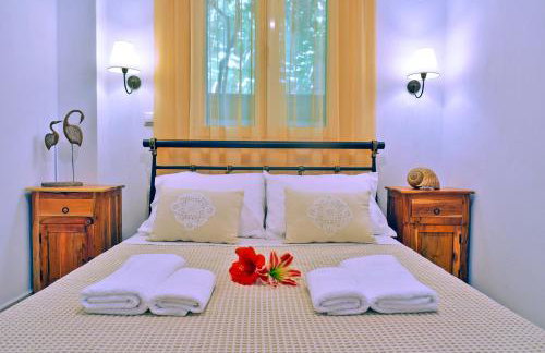 House in Εndless green - Arethousa, Ikaria - Photo 6