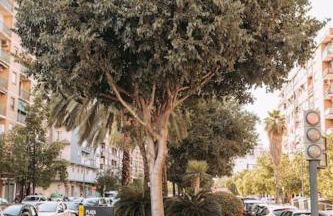 Apartamento con terraza Junto a Ruzafa - Photo 24